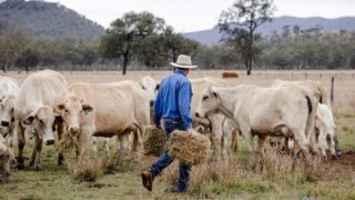 Clp beef australia rfcs case study